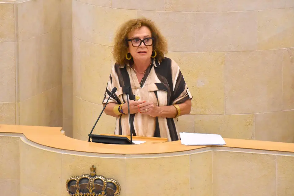 Teresa Noceda en la tribuna del Parlamento